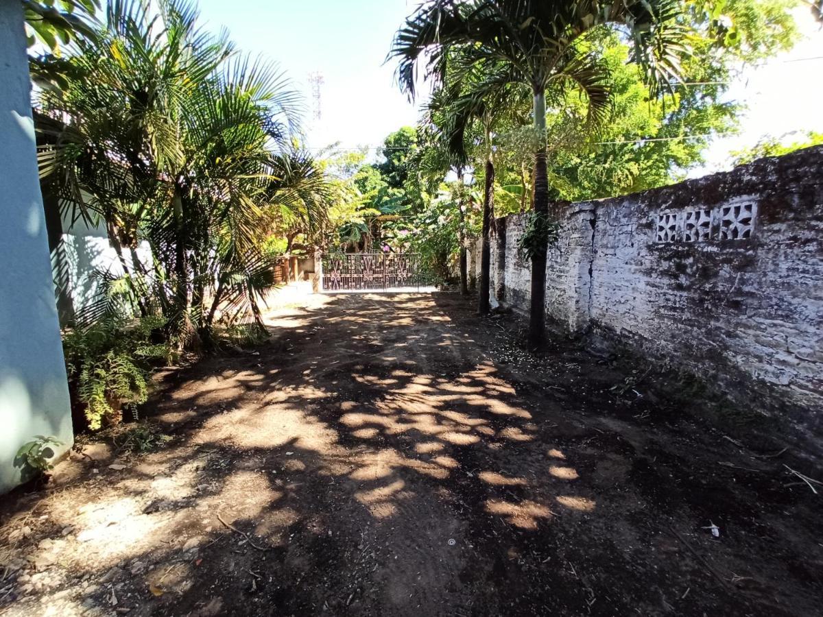 לינה וארוחת בוקר מויוגאלפה Ometepe House מראה חיצוני תמונה