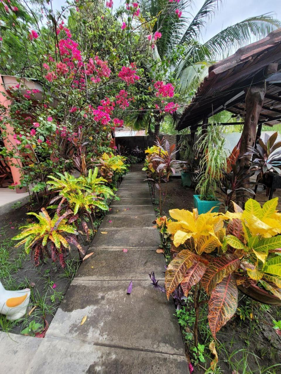 לינה וארוחת בוקר מויוגאלפה Ometepe House מראה חיצוני תמונה
