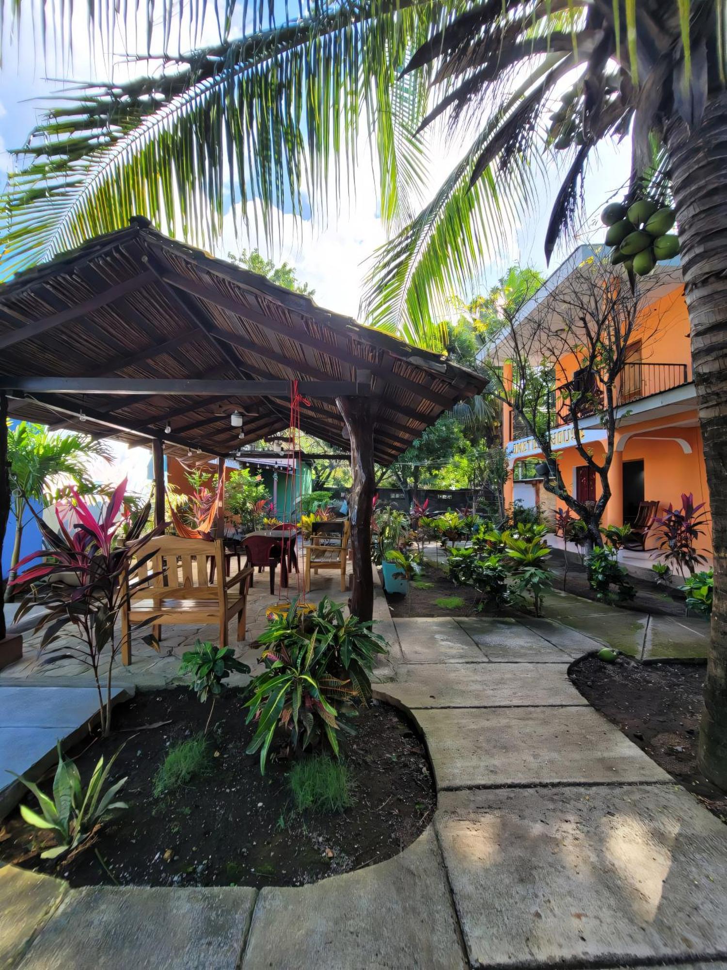 לינה וארוחת בוקר מויוגאלפה Ometepe House מראה חיצוני תמונה